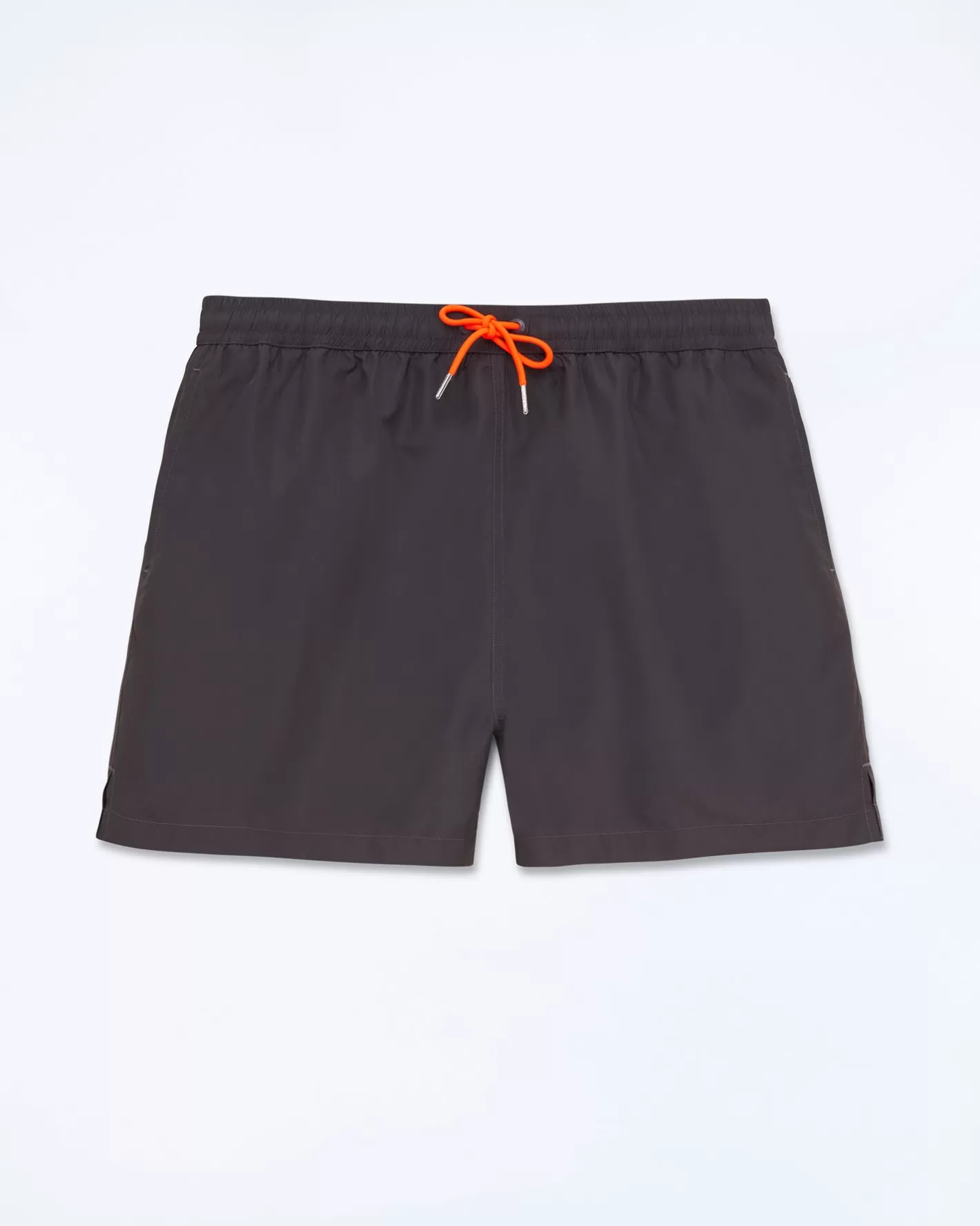 Boxer Mare-FROM FUTURE Best Sale